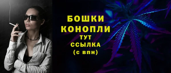 прущие грибы Балахна