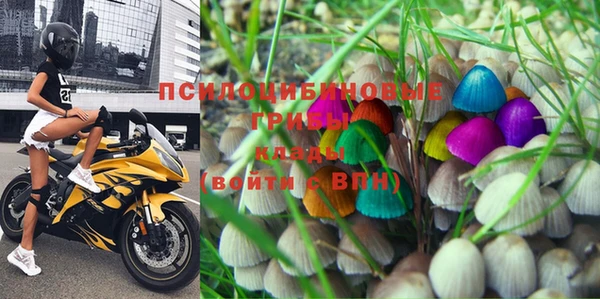 прущие грибы Балахна