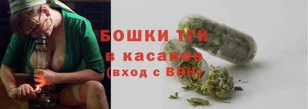 прущие грибы Балахна